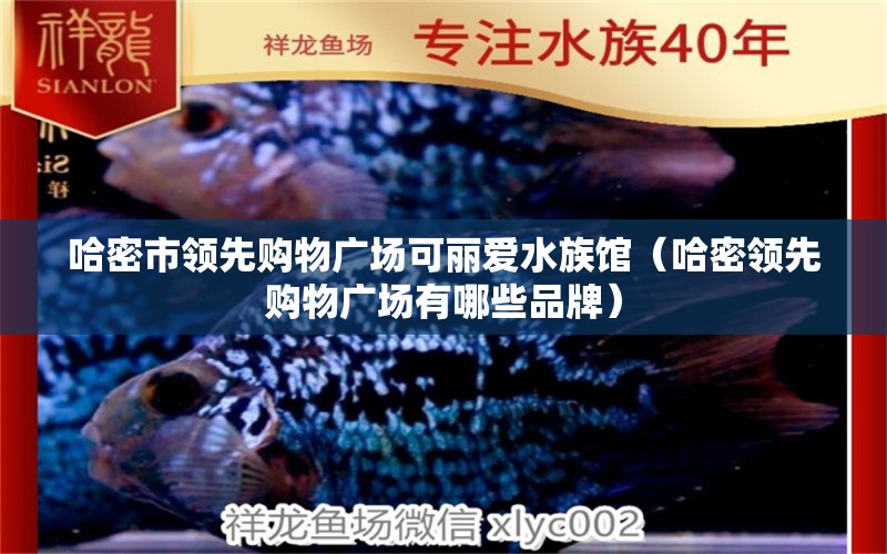 哈密市领先购物广场可丽爱水族馆（哈密领先购物广场有哪些品牌）