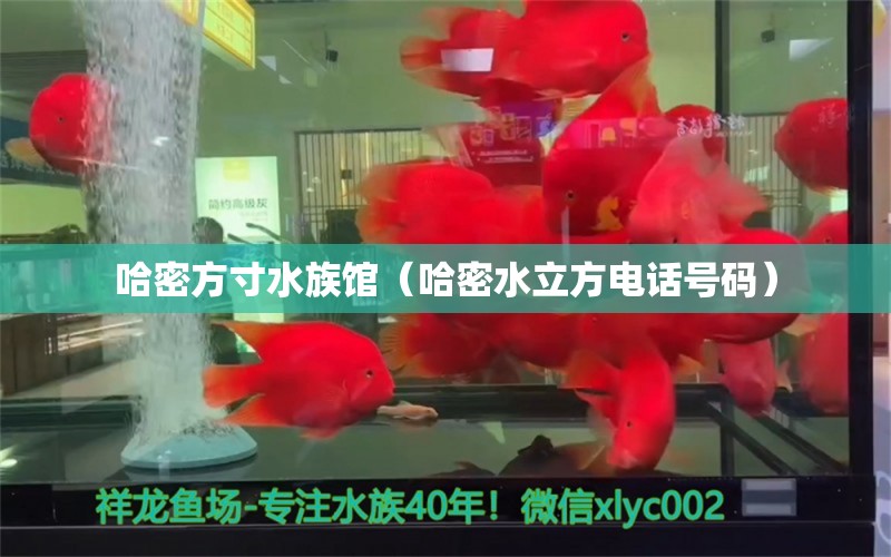 哈密方寸水族馆（哈密水立方电话号码）