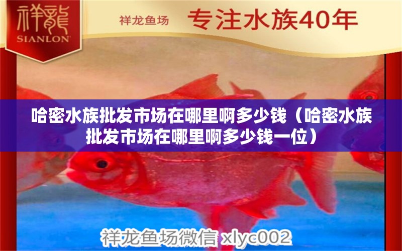 哈密水族批发市场在哪里啊多少钱（哈密水族批发市场在哪里啊多少钱一位） 观赏鱼水族批发市场