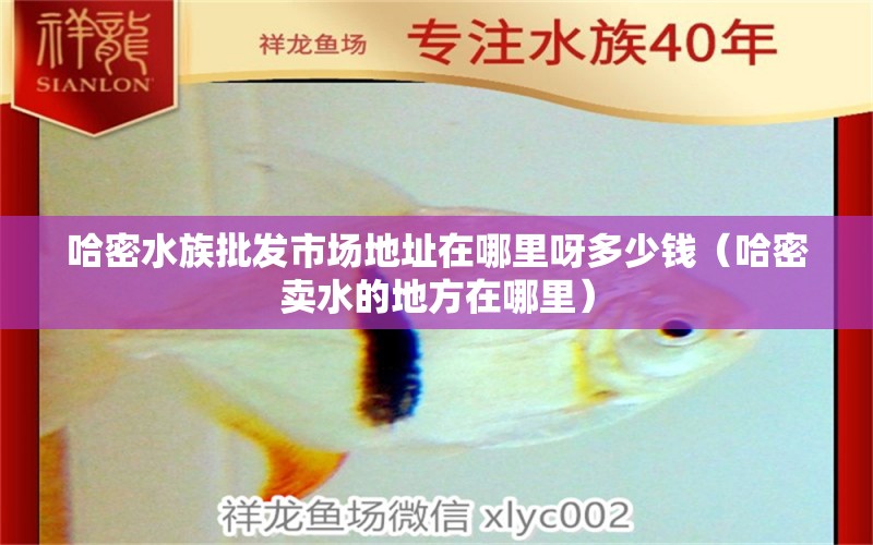 哈密水族批发市场地址在哪里呀多少钱（哈密卖水的地方在哪里）