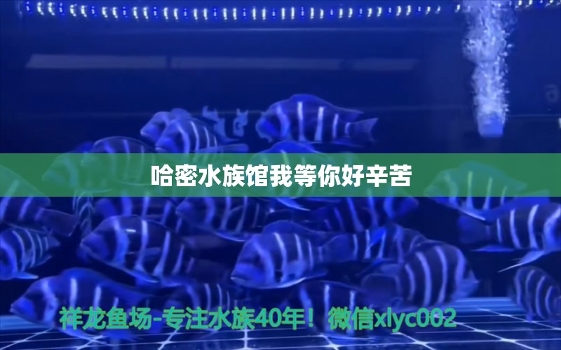 哈密水族馆我等你好辛苦