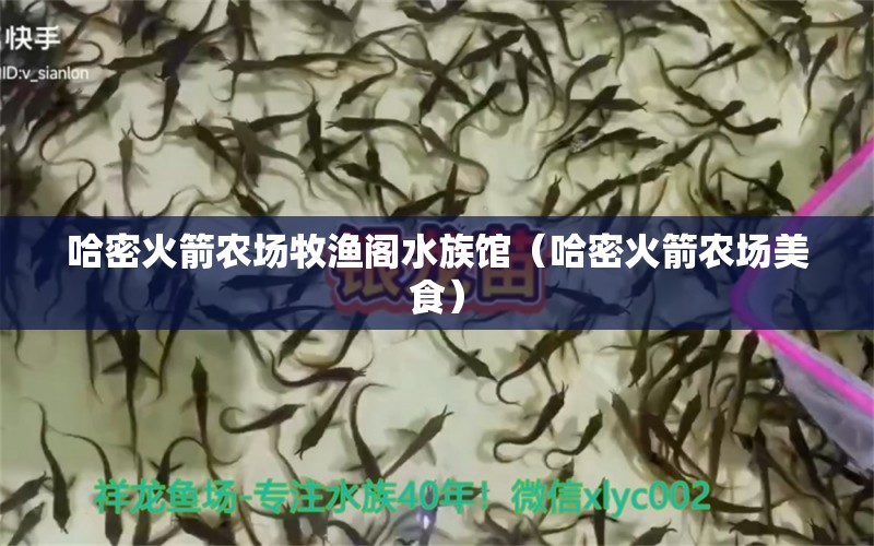 哈密火箭农场牧渔阁水族馆（哈密火箭农场美食）