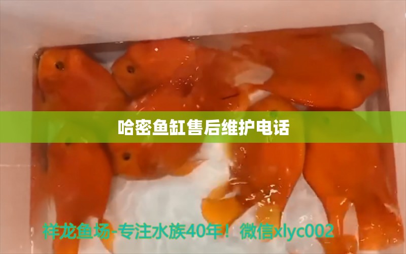 哈密鱼缸售后维护电话 其他品牌鱼缸