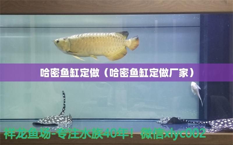 哈密鱼缸定做（哈密鱼缸定做厂家）