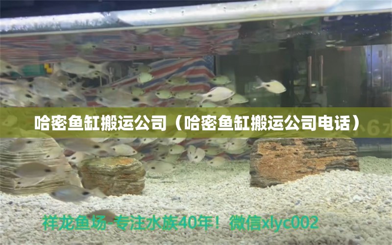 哈密鱼缸搬运公司（哈密鱼缸搬运公司电话） 祥龙水族医院