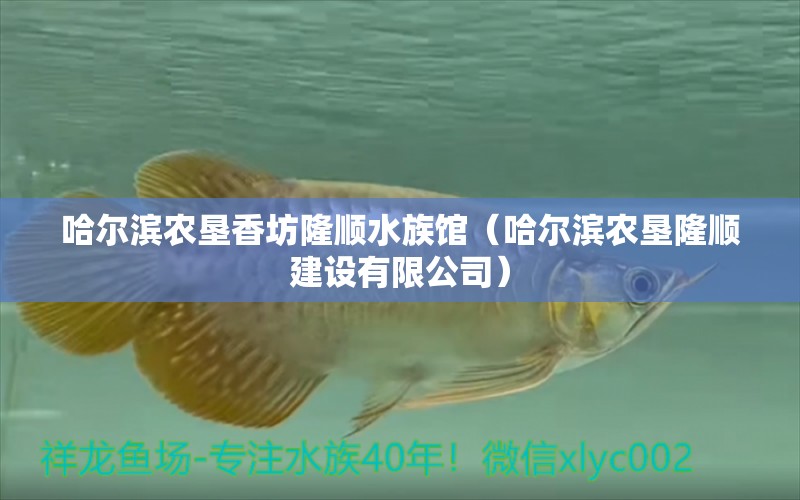 哈尔滨农垦香坊隆顺水族馆（哈尔滨农垦隆顺建设有限公司） 全国水族馆企业名录