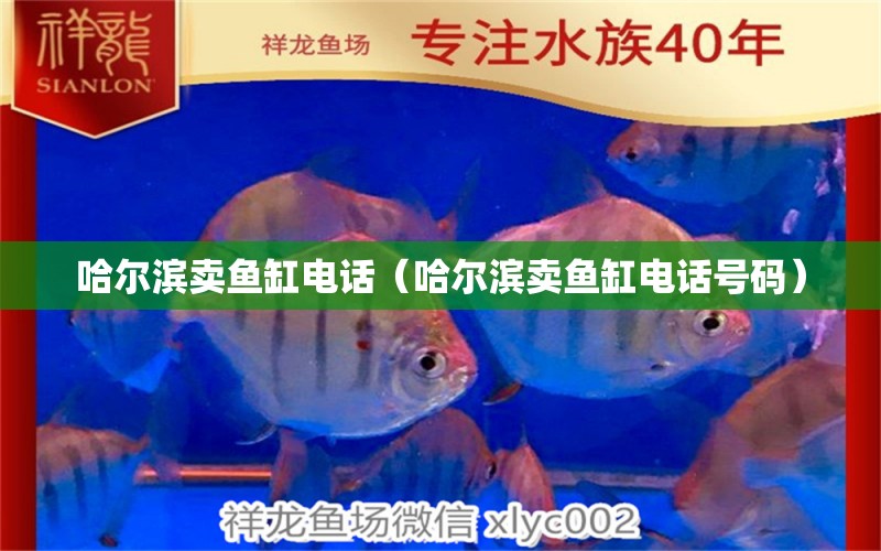 哈尔滨卖鱼缸电话（哈尔滨卖鱼缸电话号码） 祥龙水族医院