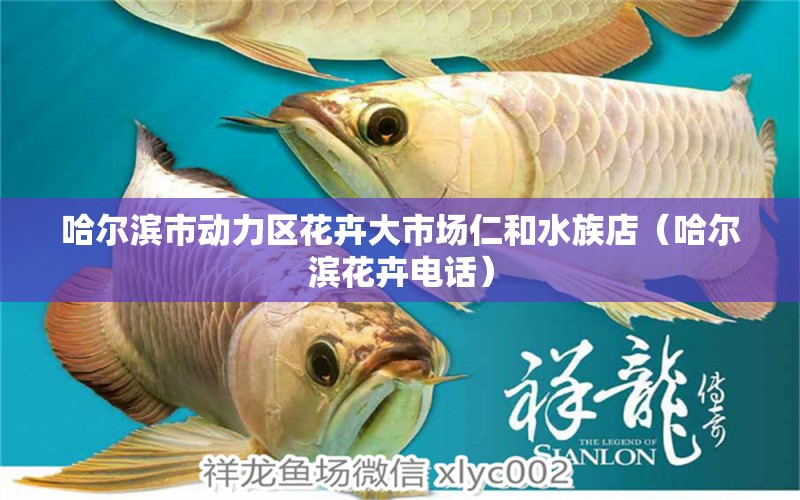 哈尔滨市动力区花卉大市场仁和水族店（哈尔滨花卉电话） 全国水族馆企业名录