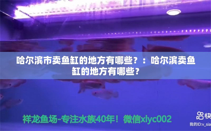 哈尔滨市卖鱼缸的地方有哪些？：哈尔滨卖鱼缸的地方有哪些？ 鱼缸百科 第2张