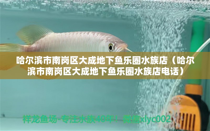 哈尔滨市南岗区大成地下鱼乐圈水族店（哈尔滨市南岗区大成地下鱼乐圈水族店电话）