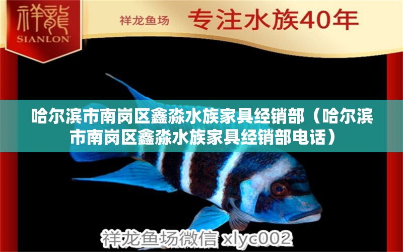 哈尔滨市南岗区鑫淼水族家具经销部（哈尔滨市南岗区鑫淼水族家具经销部电话） 全国水族馆企业名录