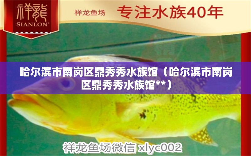 哈尔滨市南岗区鼎秀秀水族馆（哈尔滨市南岗区鼎秀秀水族馆**）