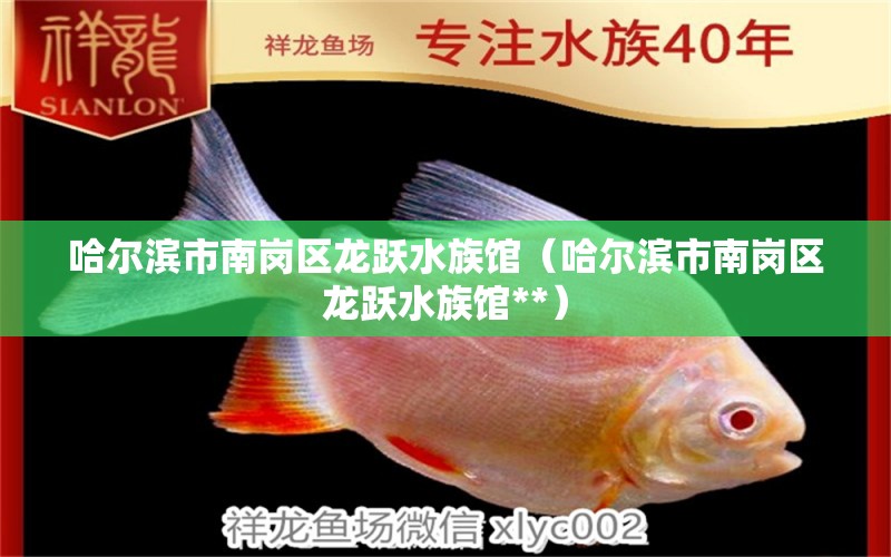 哈尔滨市南岗区龙跃水族馆（哈尔滨市南岗区龙跃水族馆**）