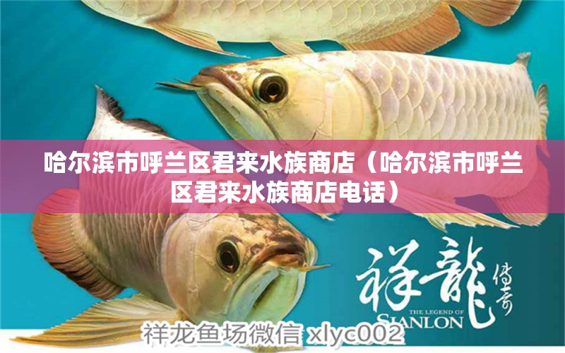 哈尔滨市呼兰区君来水族商店（哈尔滨市呼兰区君来水族商店电话）