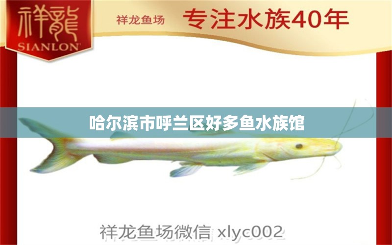 哈尔滨市呼兰区好多鱼水族馆 全国水族馆企业名录