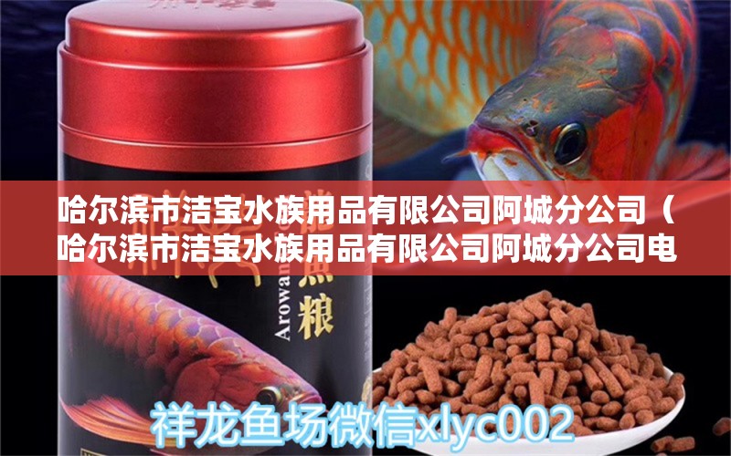 哈尔滨市洁宝水族用品有限公司阿城分公司（哈尔滨市洁宝水族用品有限公司阿城分公司电话）