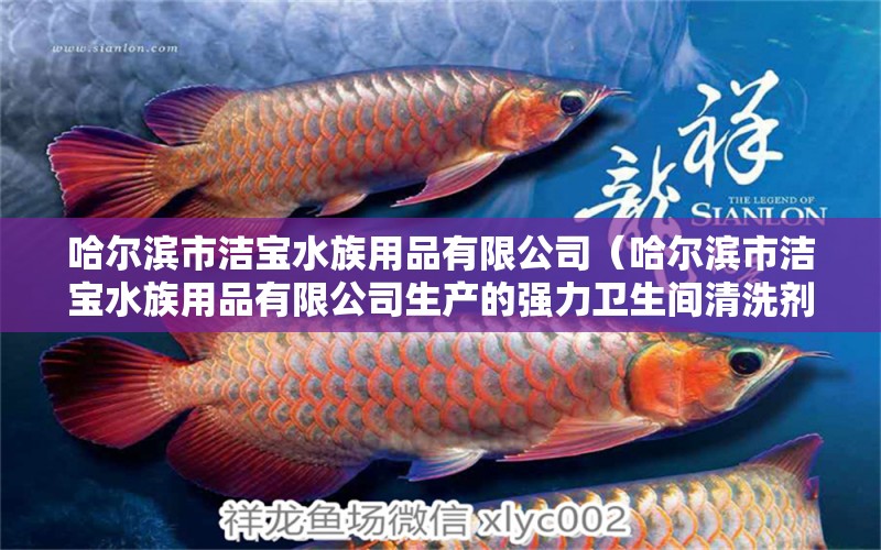 哈尔滨市洁宝水族用品有限公司（哈尔滨市洁宝水族用品有限公司生产的强力卫生间清洗剂） 水族用品