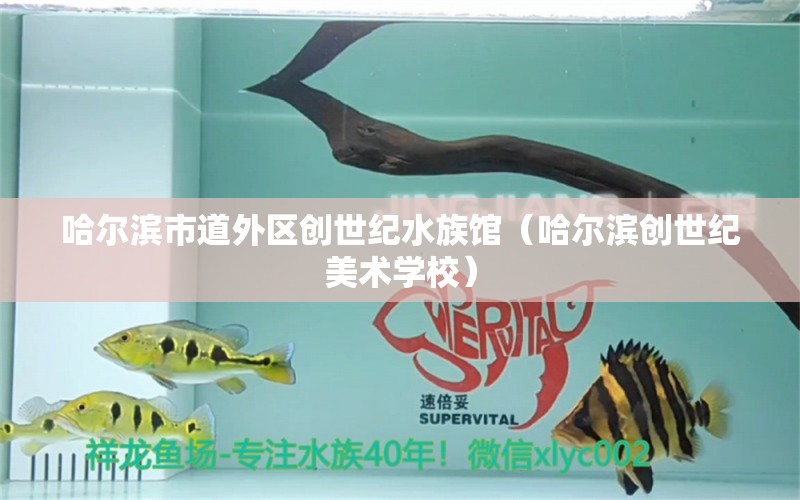 哈尔滨市道外区创世纪水族馆（哈尔滨创世纪美术学校）