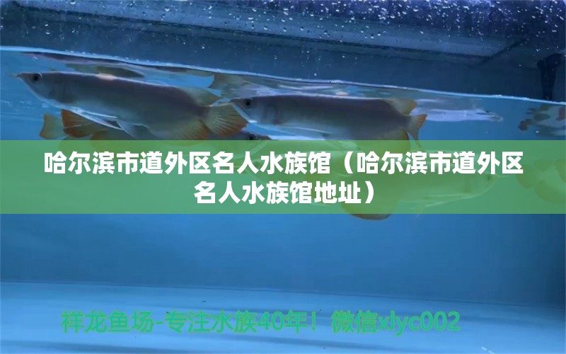 哈尔滨市道外区名人水族馆（哈尔滨市道外区名人水族馆地址）