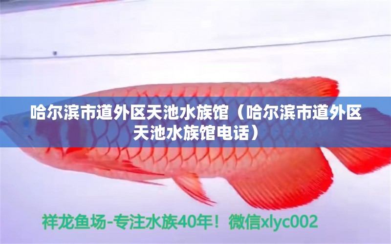 哈尔滨市道外区天池水族馆（哈尔滨市道外区天池水族馆电话）