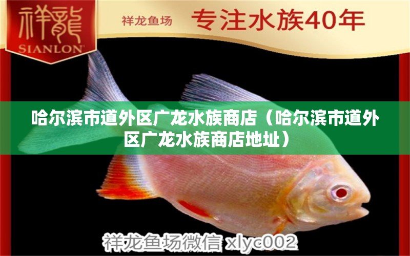 哈尔滨市道外区广龙水族商店（哈尔滨市道外区广龙水族商店地址）