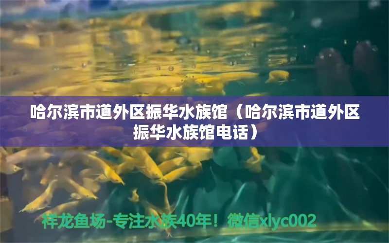 哈尔滨市道外区振华水族馆（哈尔滨市道外区振华水族馆电话） 全国水族馆企业名录