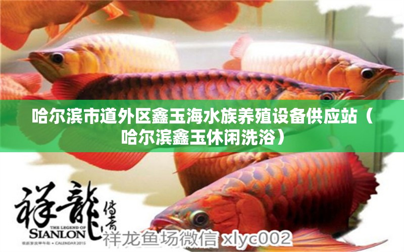 哈尔滨市道外区鑫玉海水族养殖设备供应站（哈尔滨鑫玉休闲洗浴）