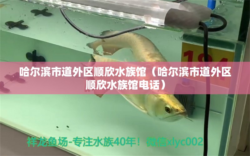 哈尔滨市道外区顺欣水族馆（哈尔滨市道外区顺欣水族馆电话） 全国水族馆企业名录