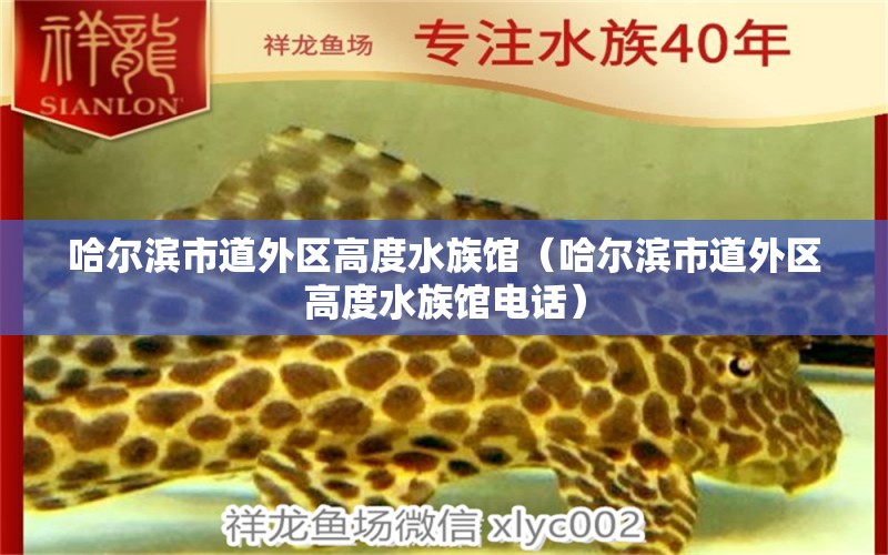 哈尔滨市道外区高度水族馆（哈尔滨市道外区高度水族馆电话） 全国水族馆企业名录