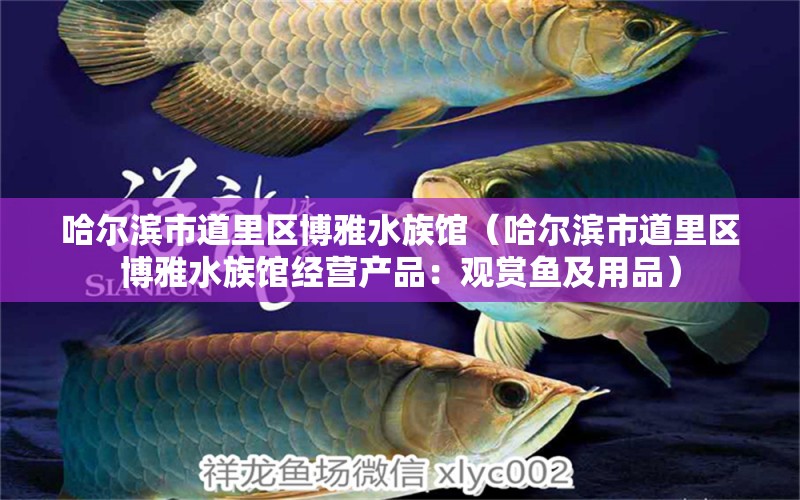 哈尔滨市道里区博雅水族馆（哈尔滨市道里区博雅水族馆经营产品：观赏鱼及用品）