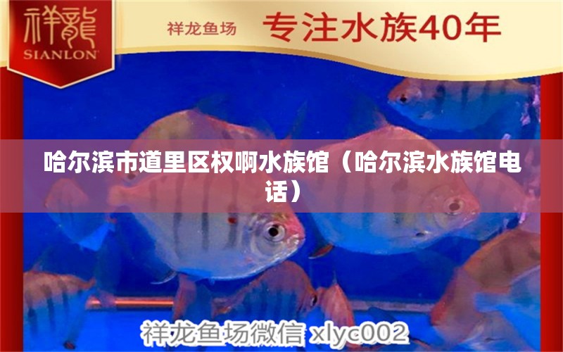 哈尔滨市道里区权啊水族馆（哈尔滨水族馆电话）