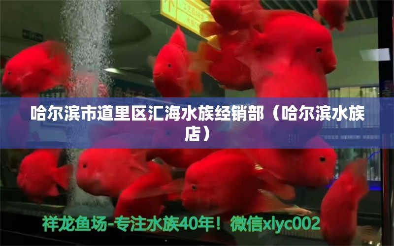 哈尔滨市道里区汇海水族经销部（哈尔滨水族店）