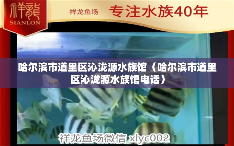 哈尔滨市道里区沁泷源水族馆（哈尔滨市道里区沁泷源水族馆电话）