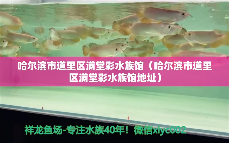 哈尔滨市道里区满堂彩水族馆（哈尔滨市道里区满堂彩水族馆地址）