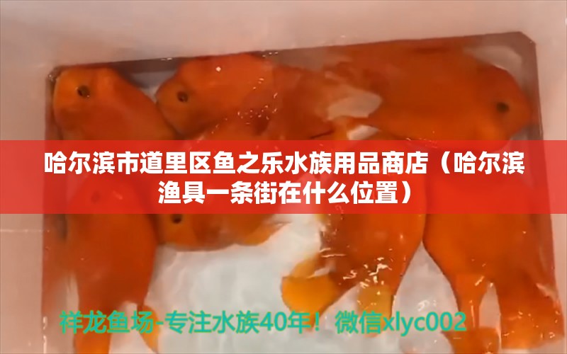 哈尔滨市道里区鱼之乐水族用品商店（哈尔滨渔具一条街在什么位置） 水族用品