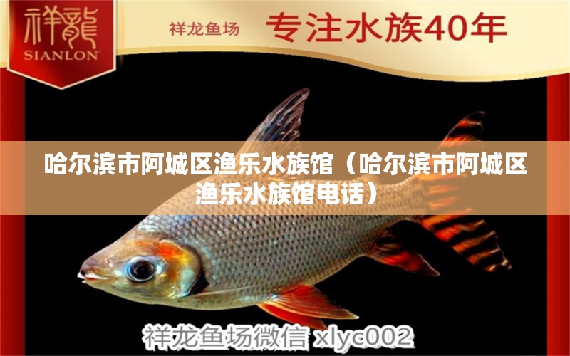 哈尔滨市阿城区渔乐水族馆（哈尔滨市阿城区渔乐水族馆电话）