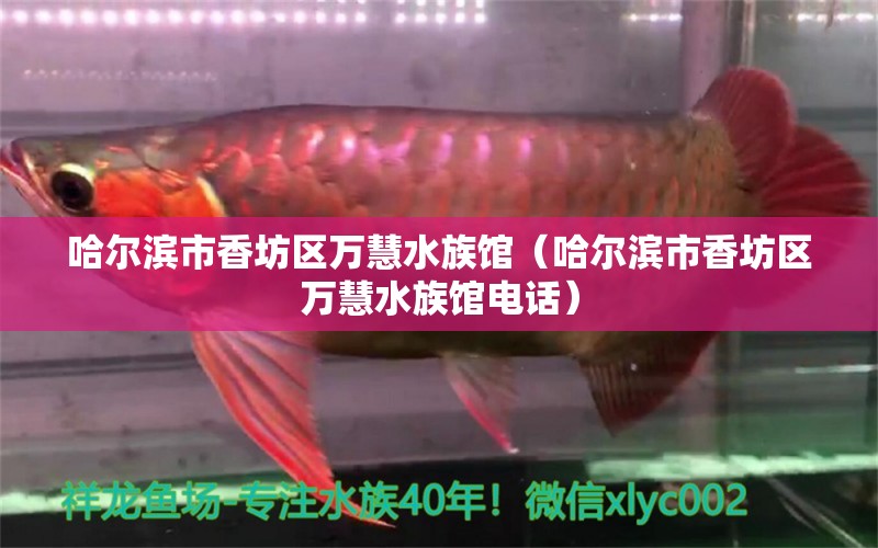 哈尔滨市香坊区万慧水族馆（哈尔滨市香坊区万慧水族馆电话）