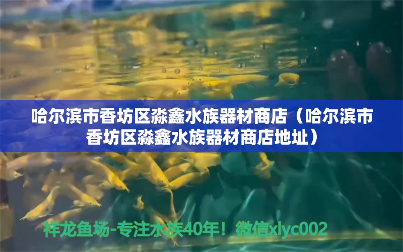 哈尔滨市香坊区淼鑫水族器材商店（哈尔滨市香坊区淼鑫水族器材商店地址）