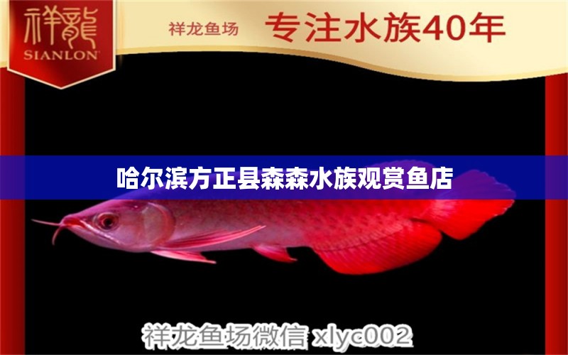 哈尔滨方正县森森水族观赏鱼店 全国水族馆企业名录