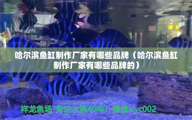 哈尔滨鱼缸制作厂家有哪些品牌（哈尔滨鱼缸制作厂家有哪些品牌的）