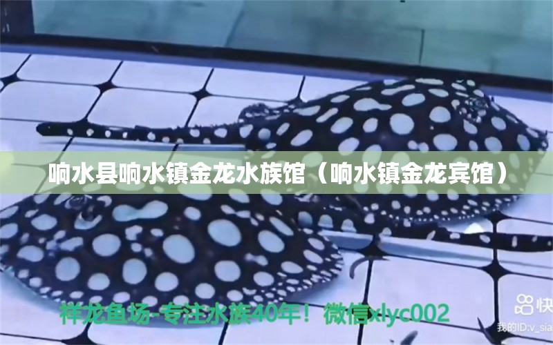 响水县响水镇金龙水族馆（响水镇金龙宾馆）