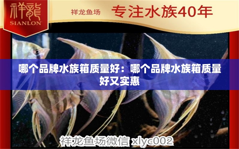 哪个品牌水族箱质量好：哪个品牌水族箱质量好又实惠