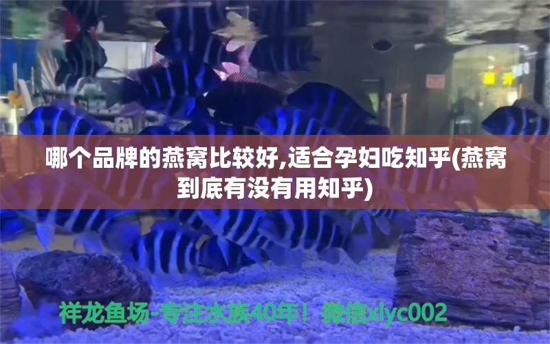 哪个品牌的燕窝比较好,适合孕妇吃知乎(燕窝到底有没有用知乎)