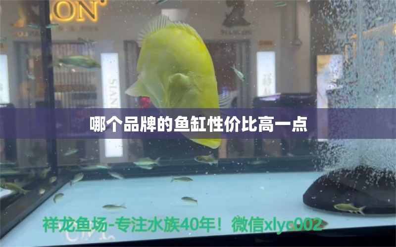 哪个品牌的鱼缸性价比高一点