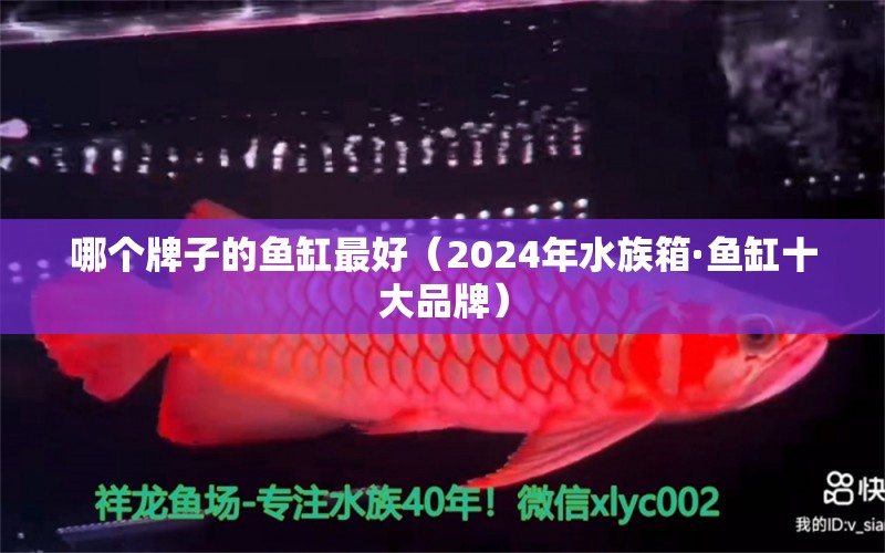 哪个牌子的鱼缸最好（2024年水族箱·鱼缸十大品牌） 鱼缸百科 第2张