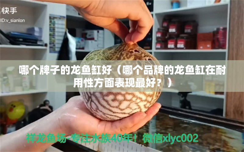 哪个牌子的龙鱼缸好（哪个品牌的龙鱼缸在耐用性方面表现最好？） 水族问答 第2张