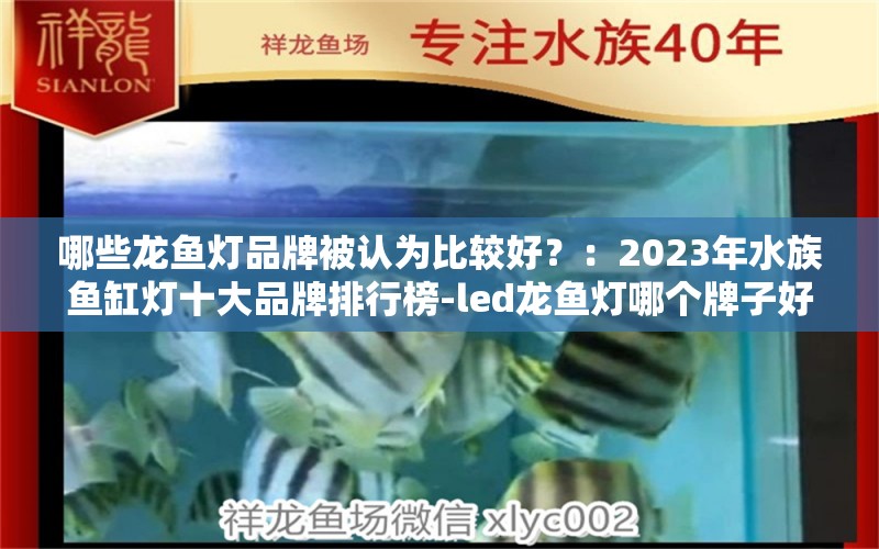 哪些龙鱼灯品牌被认为比较好？：2023年水族鱼缸灯十大品牌排行榜-led龙鱼灯哪个牌子好 龙鱼百科 第2张