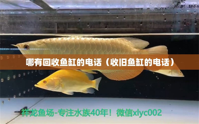 哪有回收鱼缸的电话（收旧鱼缸的电话） 过滤设备