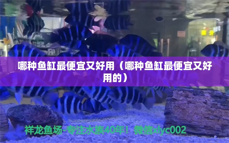 哪种鱼缸最便宜又好用（哪种鱼缸最便宜又好用的）