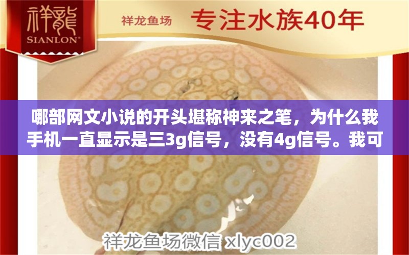 哪部网文小说的开头堪称神来之笔，为什么我手机一直显示是三3g信号，没有4g信号。我可是都已经开通了4g的。 养鱼的好处